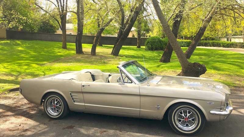 Join Barossa Unique Tours for an exciting tour of the region in a classic 1966 Mustang Convertible!